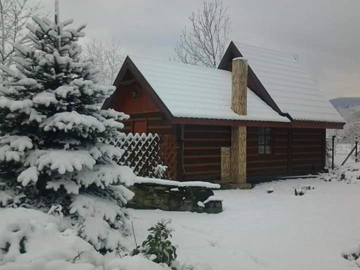 Agroturystyka W Ogrodach Sanok Exterior photo